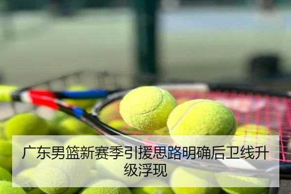 广东男篮新赛季引援思路明确后卫线升级浮现