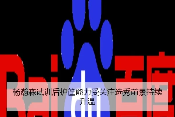 杨瀚森试训后护筐能力受关注选秀前景持续升温